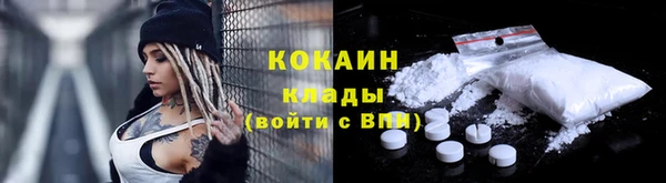 шишки Абаза