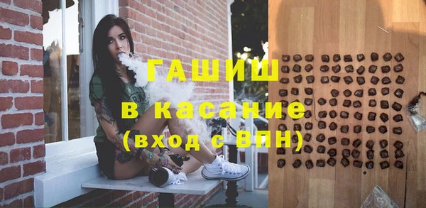 шишки Абаза