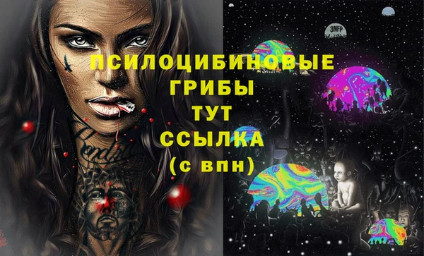 шишки Абаза