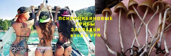 шишки Абаза