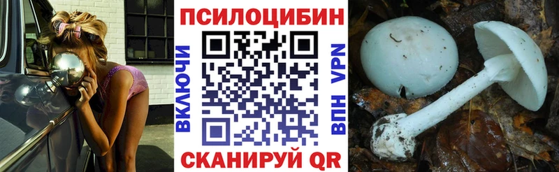 ссылка на мегу как зайти  Тотьма  Псилоцибиновые грибы Psilocybine cubensis 